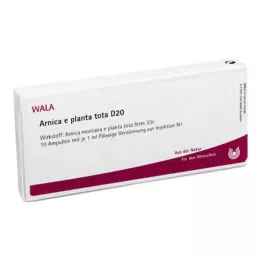 ARNICA E Planta tota D 20 ampulas, 10X1 ml