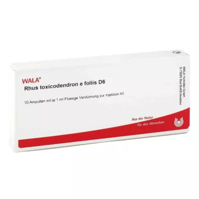 RHUS TOXICODENDRON E foliis D 6 ampulas, 10X1 ml RHUS TOXICODENDRON E foliis D 6 ampulas, 10X1 ml