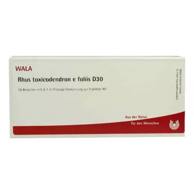 RHUS TOXICODENDRON E foliis D 30 ampulas, 10X1 ml RHUS TOXICODENDRON E foliis D 30 ampulas, 10X1 ml