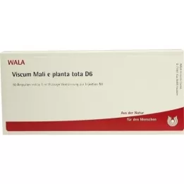 VISCUM MALI e planta tota D 6 ampulas, 10X1 ml