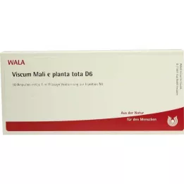 VISCUM MALI e planta tota D 6 ampulas, 10X1 ml