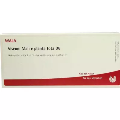 VISCUM MALI e planta tota D 6 ampulas, 10X1 ml