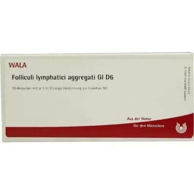 FOLLICULI LYMPHATICI agregāti GL D 6 ampulas, 10X1 ml