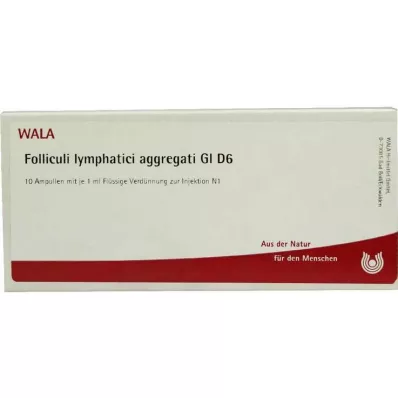 FOLLICULI LYMPHATICI agregāti GL D 6 ampulas, 10X1 ml FOLLICULI LYMPHATICI agregāti GL D 6 ampulas, 10X1 ml