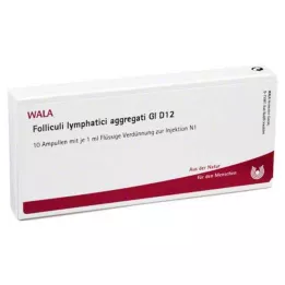 FOLLICULI LYMPHATICI agregāti GL D 12 ampulas, 10X1 ml