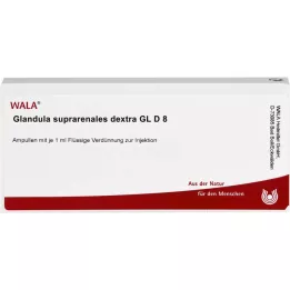 GLANDULA SUPRARENALES dextra GL D 8 ampulas, 10X1 ml