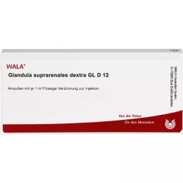 GLANDULA SUPRARENALES dextra GL D 12 ampulas, 10X1 ml