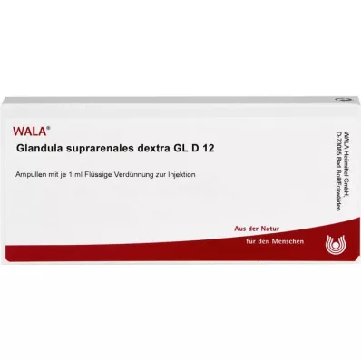 GLANDULA SUPRARENALES dextra GL D 12 ampulas, 10X1 ml