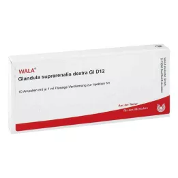 GLANDULA SUPRARENALES dextra GL D 12 ampulas, 10X1 ml
