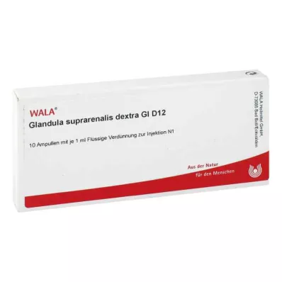 GLANDULA SUPRARENALES dextra GL D 12 ampulas, 10X1 ml