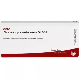 GLANDULA SUPRARENALES dextra GL D 30 ampulas, 10X1 ml