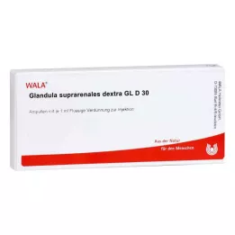 GLANDULA SUPRARENALES dextra GL D 30 ampulas, 10X1 ml