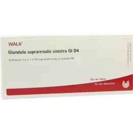 GLANDULA SUPRARENALIS sinistra GL D 4 ampulas, 10X1 ml