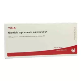 GLANDULA SUPRARENALIS sinistra GL D 4 ampulas, 10X1 ml