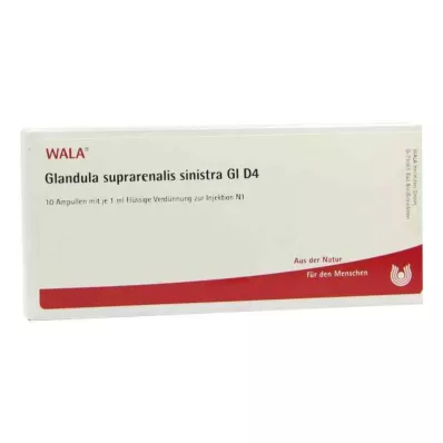 GLANDULA SUPRARENALIS sinistra GL D 4 ampulas, 10X1 ml