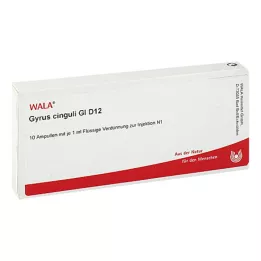 GYRUS cinguli GL D 12 ampulas, 10X1 ml