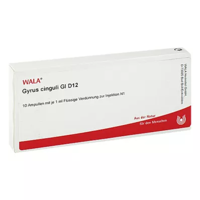 GYRUS cinguli GL D 12 ampulas, 10X1 ml
