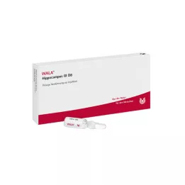 HIPPOCAMPUS GL D 8 ampulas, 10X1 ml