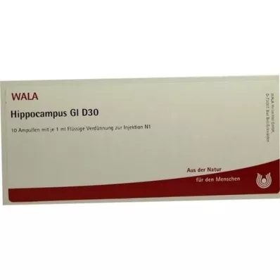 HIPPOCAMPUS GL D 30 ampulas, 10X1 ml
