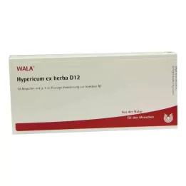 HYPERICUM EX Herba D 12 ampulas, 10X1 ml