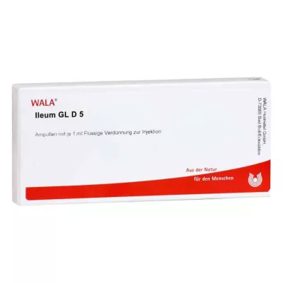 ILEUM GL D 5 ampulas, 10X1 ml