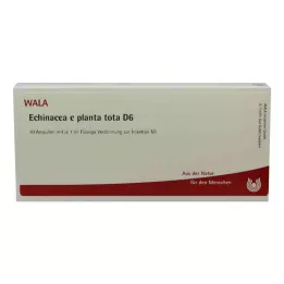 ECHINACEA E planta tota D 6 ampulas, 10X1 ml