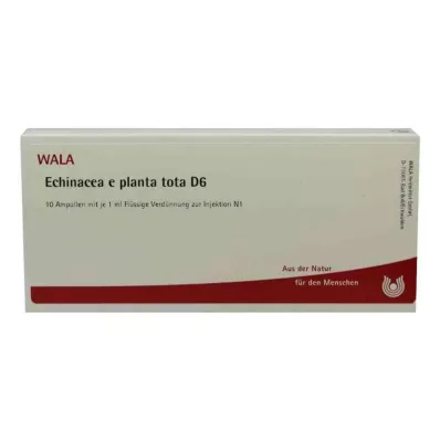 ECHINACEA E planta tota D 6 ampulas, 10X1 ml