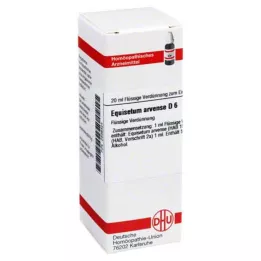 EQUISETUM ARVENSE D 6 atšķaidījums, 20 ml