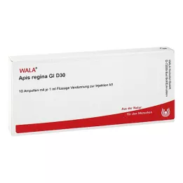 APIS REGINA GL D 30 ampulas, 10X1 ml