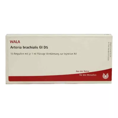 ARTERIA BRACHIALIS GL D 5 ampulas, 10X1 ml