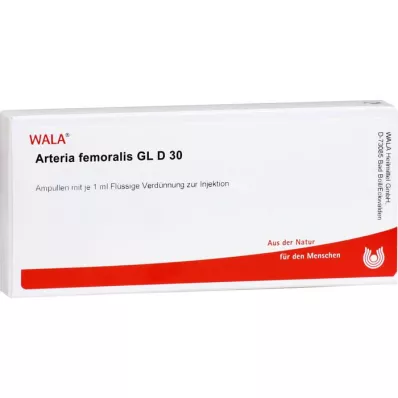 ARTERIA FEMORALIS GL D 30 ampulas, 10X1 ml
