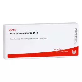 ARTERIA FEMORALIS GL D 30 ampulas, 10X1 ml