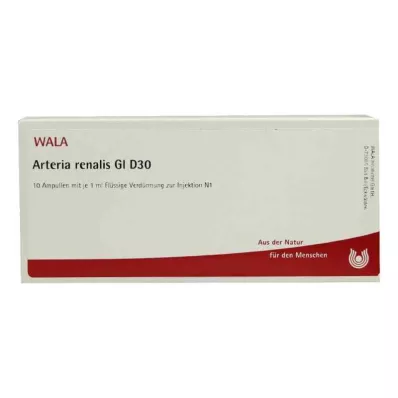 ARTERIA RENALIS GL D 30 ampulas, 10X1 ml ARTERIA RENALIS GL D 30 ampulas, 10X1 ml
