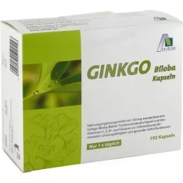 GINKGO 100 mg kapsulas+B1+C+E, 192 gab