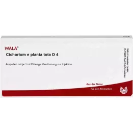 CICHORIUM E planta tota D 4 ampulas, 10X1 ml