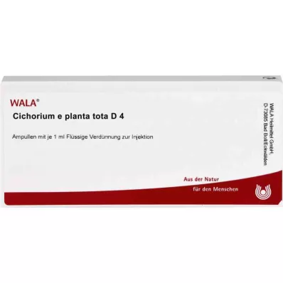 CICHORIUM E planta tota D 4 ampulas, 10X1 ml