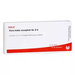 DURA MATER encephali GL D 6 ampulas, 10X1 ml
