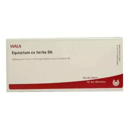 EQUISETUM EX Herba D 6 ampulas, 10X1 ml