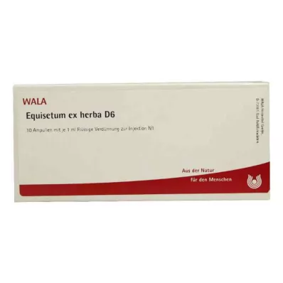 EQUISETUM EX Herba D 6 ampulas, 10X1 ml