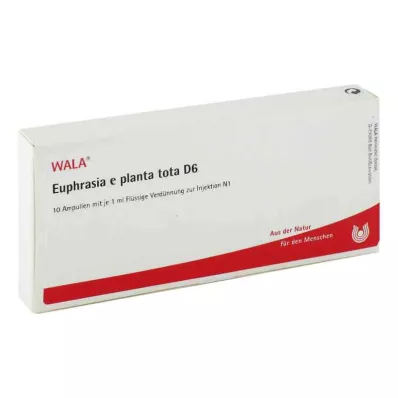 EUPHRASIA E planta tota D 6 ampulas, 10X1 ml