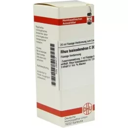 RHUS TOXICODENDRON C 30 atšķaidījums, 20 ml