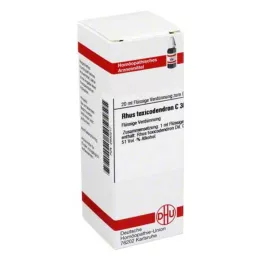 RHUS TOXICODENDRON C 30 atšķaidījums, 20 ml