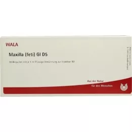 MAXILLA feti GL D 5 ampulas, 10X1 ml