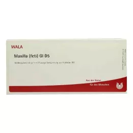 MAXILLA feti GL D 5 ampulas, 10X1 ml