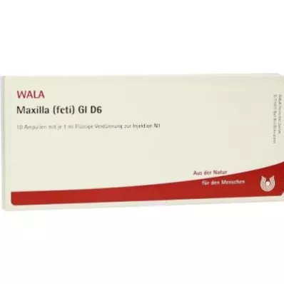 MAXILLA feti GL D 6 ampulas, 10X1 ml MAXILLA feti GL D 6 ampulas, 10X1 ml