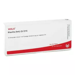 MAXILLA feti GL D 15 ampulas, 10X1 ml
