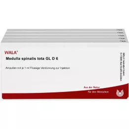 MEDULLA SPINALIS tota GL D 6 ampulas, 50X1 ml