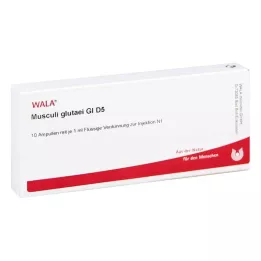 MUSCULI GLUTAEI GL D 5 ampulas, 10X1 ml