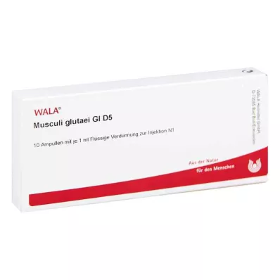 MUSCULI GLUTAEI GL D 5 ampulas, 10X1 ml