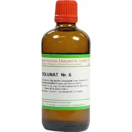 SOLUNAT Nr.6 pilieni, 100 ml